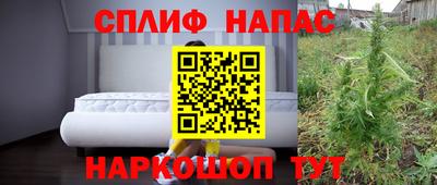 стафф Гусев