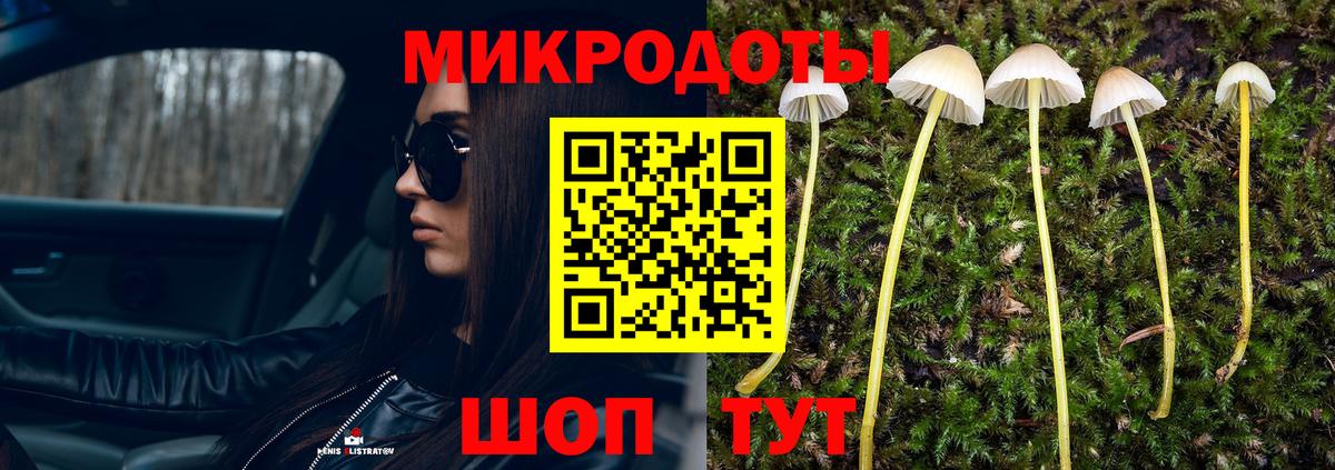 Орёл  Псилоцибиновые грибы MAGIC MUSHROOMS  Вход с VPN 